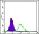 PODXL Primary Antibody MP30206 [M5F5]