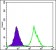 FUK Primary Antibody MP30207 [M6E2]