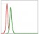 SRC Primary Antibody MP30290 [M1F11]