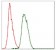 COTL1 Primary Antibody MP30322 [M5C8E3]