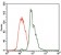 CBX8 Primary Antibody  MP30456A [M9C3D4]