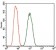 DCTN4 Primary Antibody  MP30469P [M3G9D7]