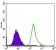 TP53BP1 Primary Antibody MP30484A [M6B3E10]