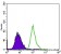 EGFR mutant Primary Antibody MP30486A [M5G9B5]