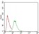 PON1 Primary Antibody MP30571 [M4G8A12]