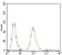 PPP1R1B Primary Antibody MP30595 [M2G6D9]