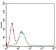 B2M Primary Antibody MP30600 [M4G5A1]