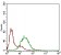 SSTR3 Primary Antibody MP30620 [M7H8E5]