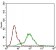 CD68 Primary Antibody MP30621 [M3F7D3]