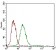 DSG3 Primary Antibody MP30627 [M6G2C11]