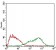 FSHB Primary Antibody MP30640 [M3C1E4]