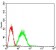 EIF2AK2 Primary Antibody MP30664 [M3A10F7]