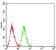 LHCGR Primary Antibody MP30751 [M8G9A2]