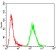 GNAS Primary Antibody MP30780 [M7G6G5]