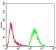 GNAS Primary Antibody MP30781 [M2A2B7]