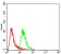 HSPB2 Primary Antibody MP30783 [M4B9E2]