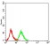IRAK3 Primary Antibody MP30787 [M6G9G2]