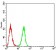 ERBB4 Primary Antibody MP30811 [M4E7G5]