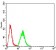 HDAC9 Primary Antibody MP30822 [M2B7C4]