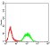 Rab13 Primary Antibody MP30844 [M7G8A4]