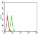 SALL4 Primary Antibody MP30859 [M1E11A4]