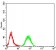 RAD18 Primary Antibody MP30860 [M2G8D12]