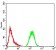 GFPT1 Primary Antibody MP30954 [M1F1B9]