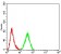 PELP1 Primary Antibody MP31001 [M4F1D1]
