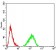 LMNB2 Primary Antibody MP31003 [M2E2F4]