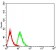 MOB1A Primary Antibody MP31007 [M3E7B2]