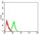 PYCARD Primary Antibody MP31008 [M1C3D3]