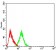 PYCARD Primary Antibody MP31009 [M1C3D7]