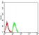 PLD2 Primary Antibody MP31025 [M8G1G2]