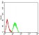 CD2 Primary Antibody MP31026 [M3D1E3]