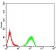 TTF1 Primary Antibody MP31032 [M2F4D8]