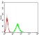 DAPP1 Primary Antibody MP31035 [M2F7A9]
