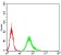 TLR9 Primary Antibody MP31037 [M6B2G1]