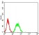 CDCP1 Primary Antibody MP31083 [M5G3H11]