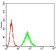 HLA-B Primary Antibody MP31114 [M2G7B10]