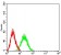 BCL11B Primary Antibody MP31219 [M1F8G8]