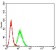 PCDH9 Primary Antibody MP31221 [M7G3A2]