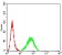 TNFSF13B Primary Antibody MP31222 [M6C3A2]