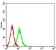 CD100 Primary Antibody MP31317 [M5C5B10]