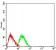 CD107b Primary Antibody MP31377 [M6A10H10]