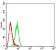PSMA Primary Antibody MP31398 [M2D10E10]