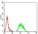 APC2 Primary Antibody MP31410 [M3A2G2]