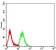 CD268 Primary Antibody MP31414 [M5A9B6]