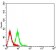 CD1B Primary Antibody MP31418 [M5G3D4]