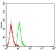CD40 Primary Antibody MP31425 [M4C3B8]