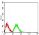 CD42B Primary Antibody  MP31457 [M6H6H10]